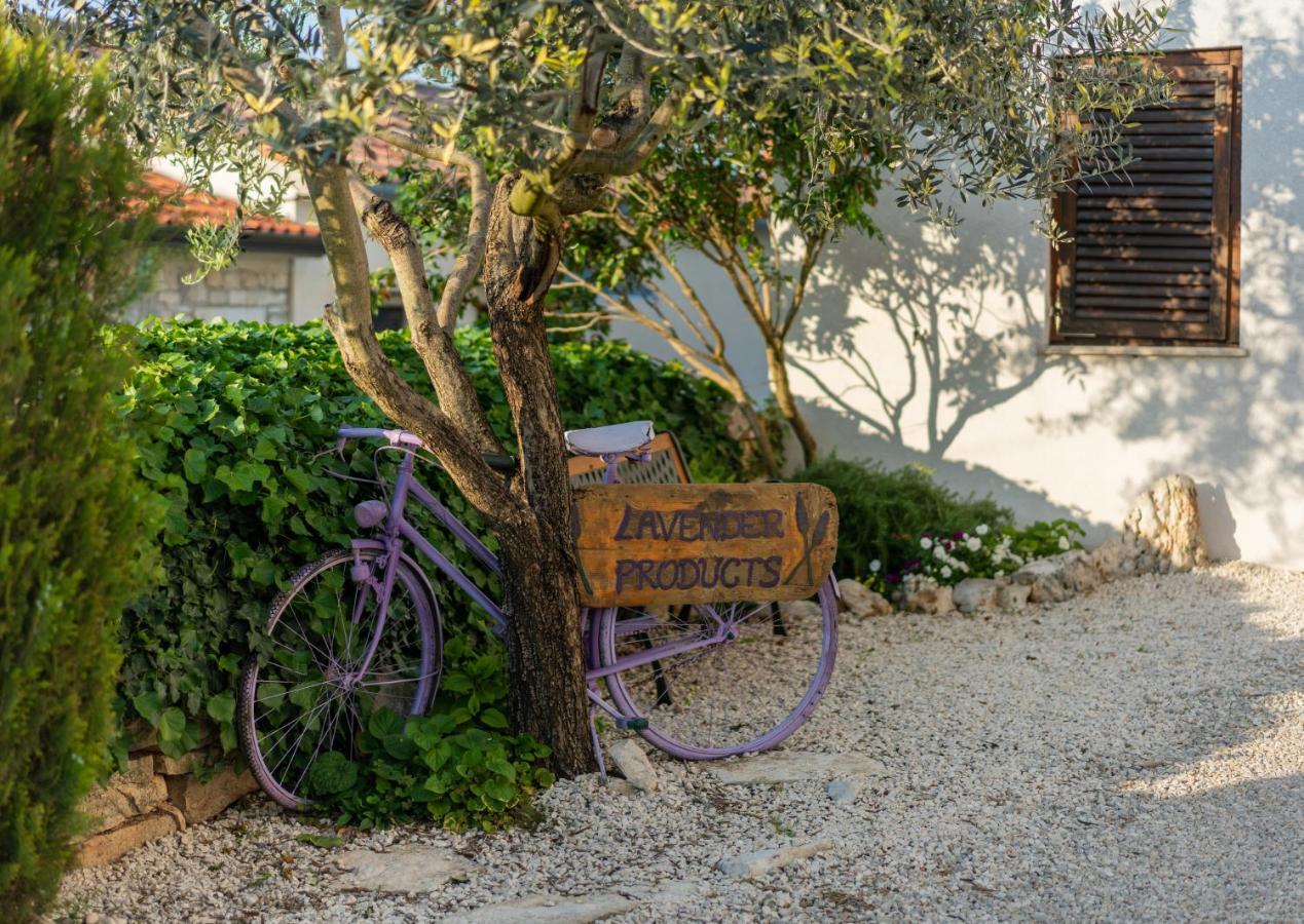 Lavanda Sveti Lovreč Pazenatički Buitenkant foto