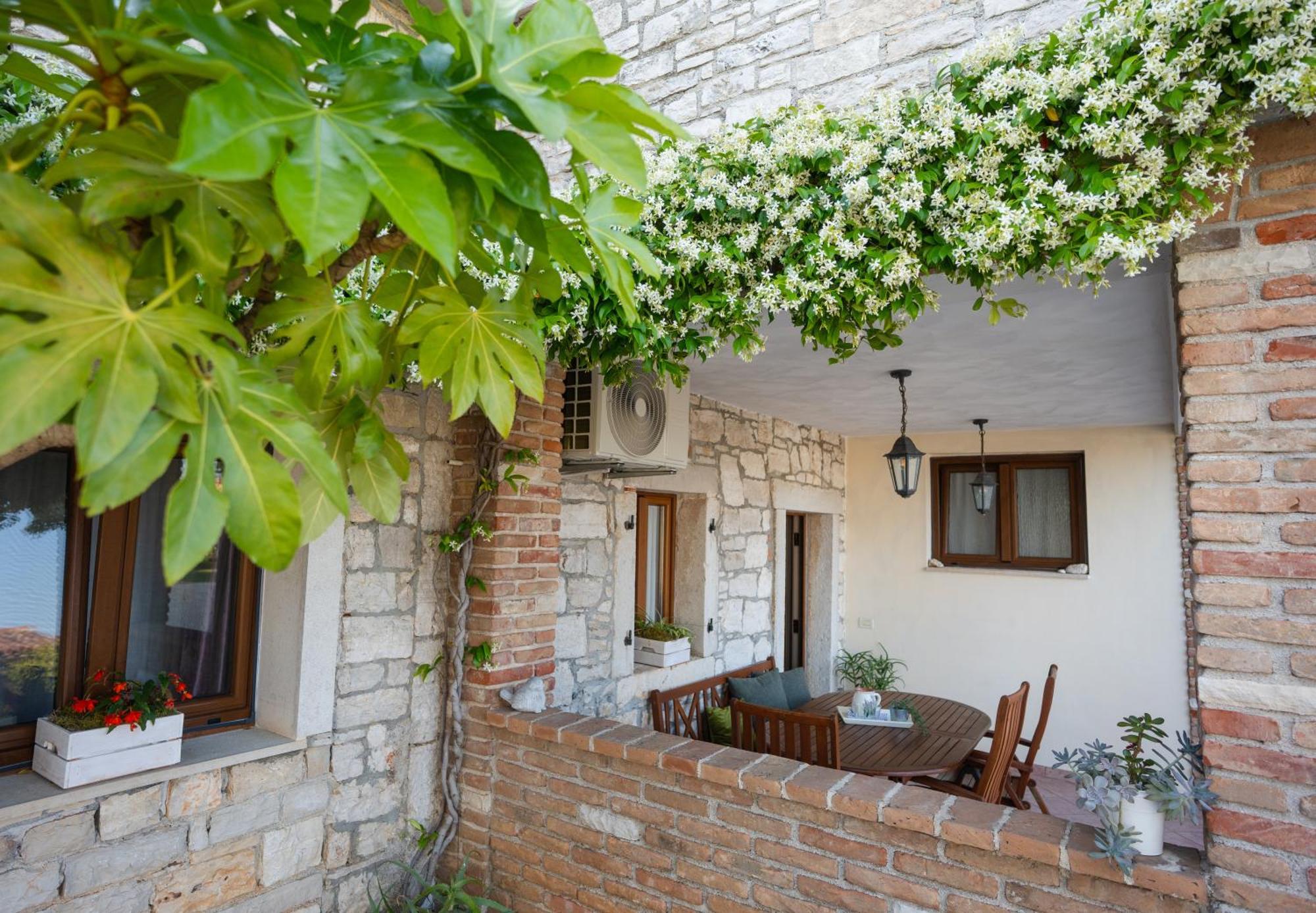 Lavanda Sveti Lovreč Pazenatički Kamer foto